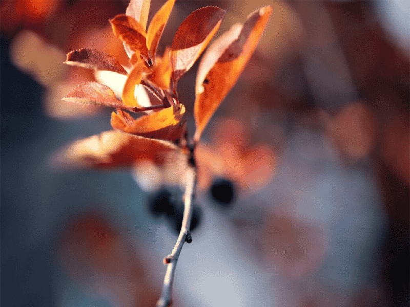 南阳可以做试管,试管正常的子宫