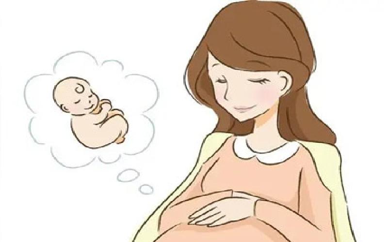 pet试管型芯代生